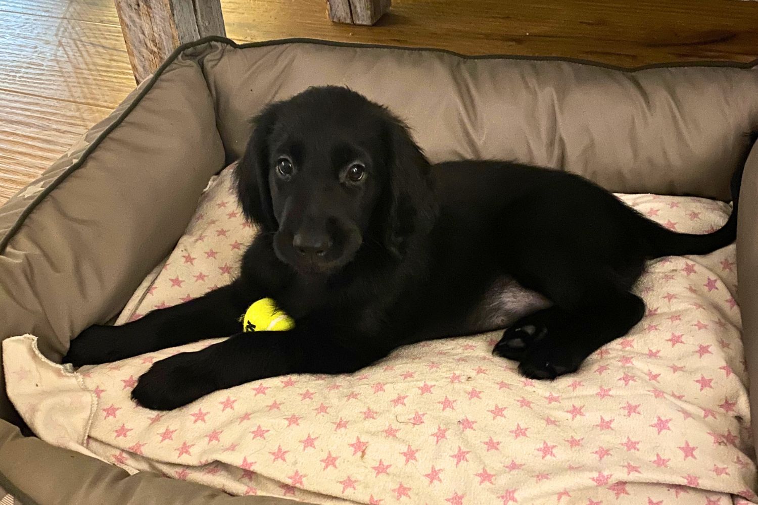 Mein Leben mit Kristina und Mike