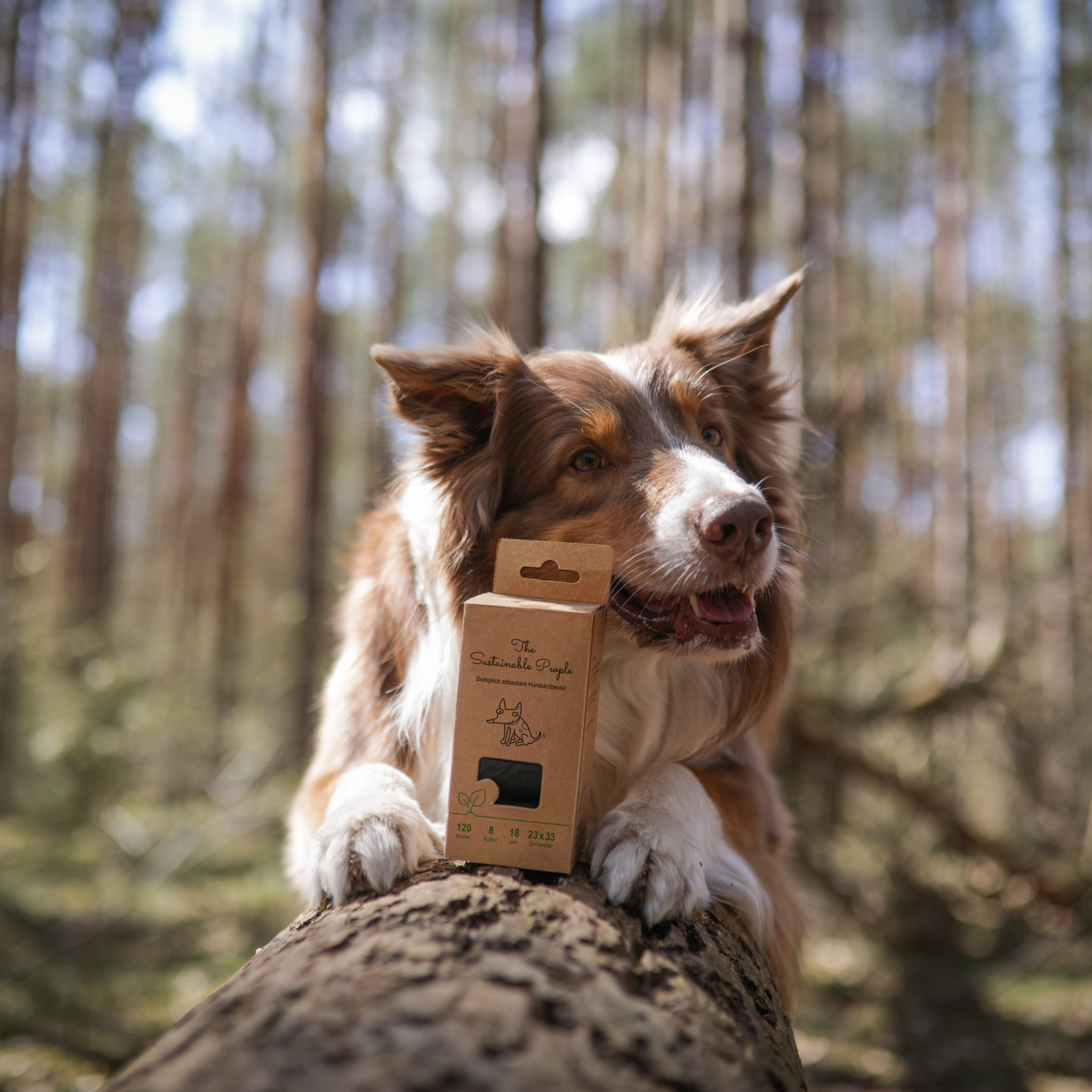 Hundekotbeutel (8 Rollen) - The Sustainable People