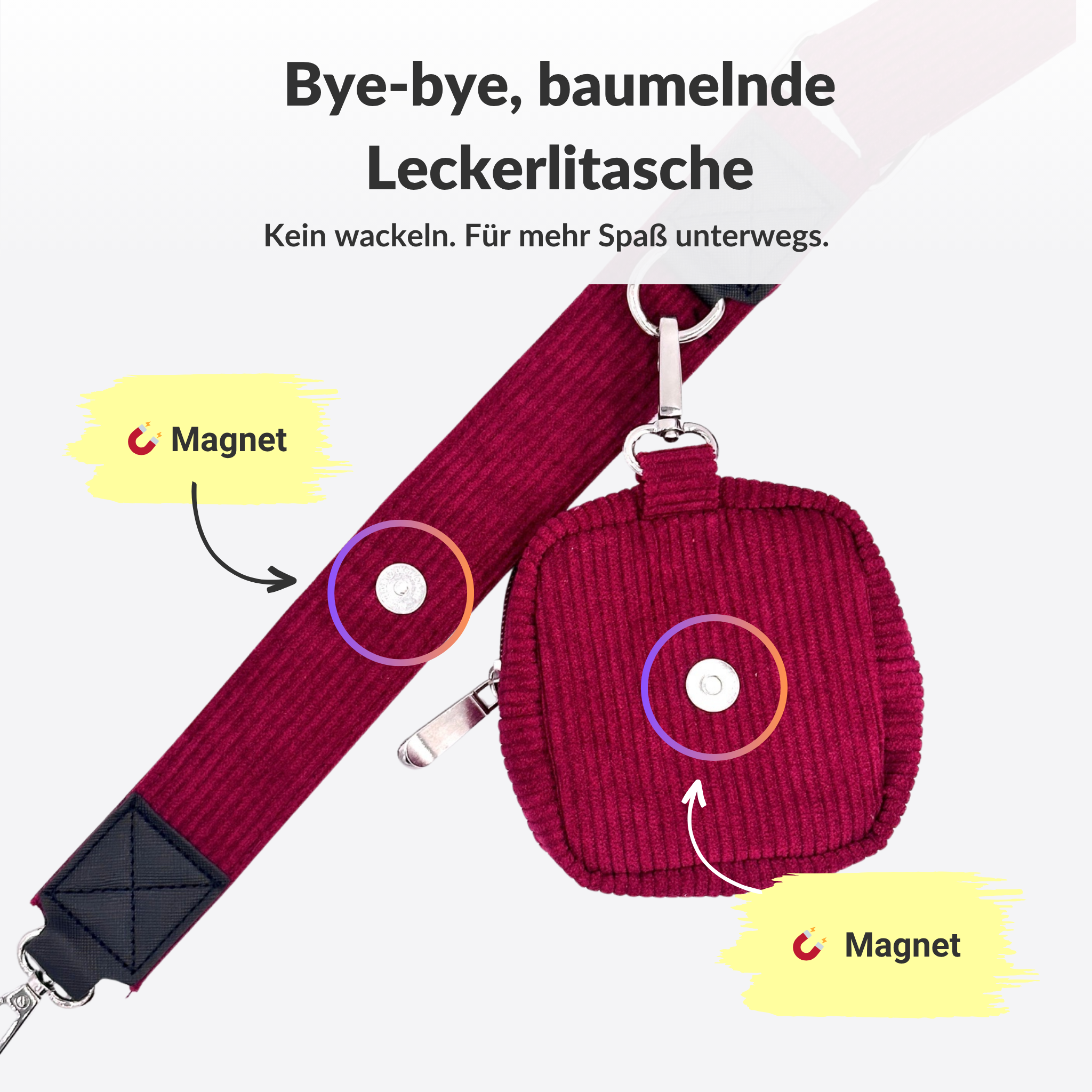 Taschen-Set für stressfreie Gassirunden