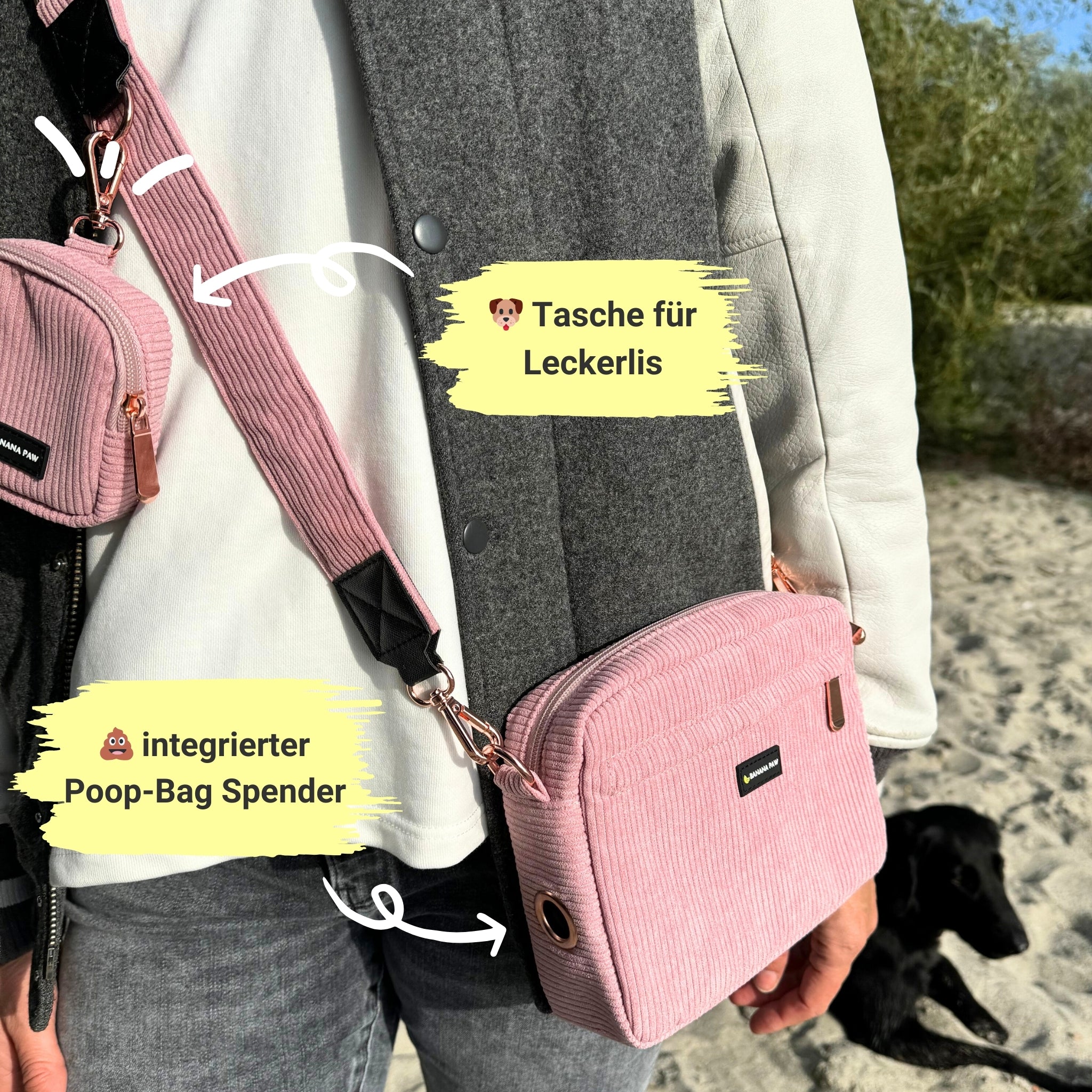 Gassi Komplett-Set · Cord