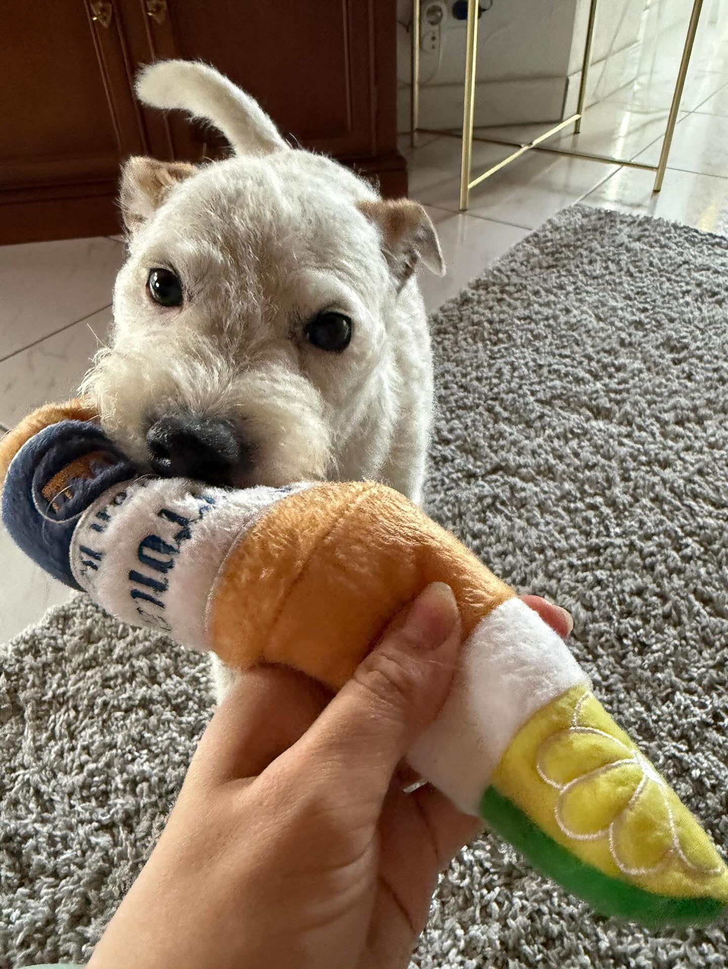 Grrrona Bierflasche von Haute Diggity Dog