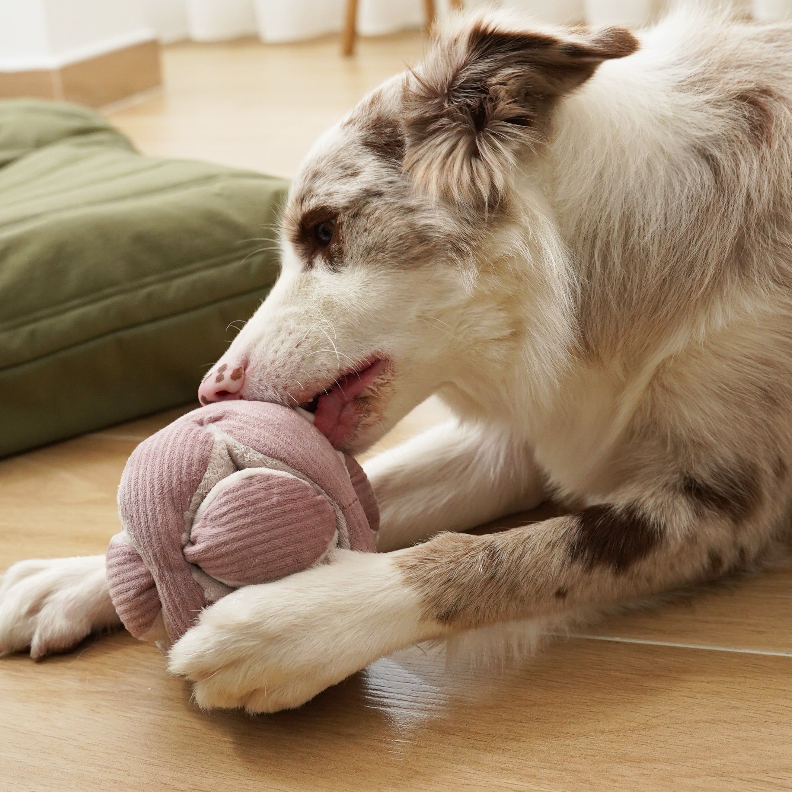 Monti Schnüffelball - Lambwolf Collective