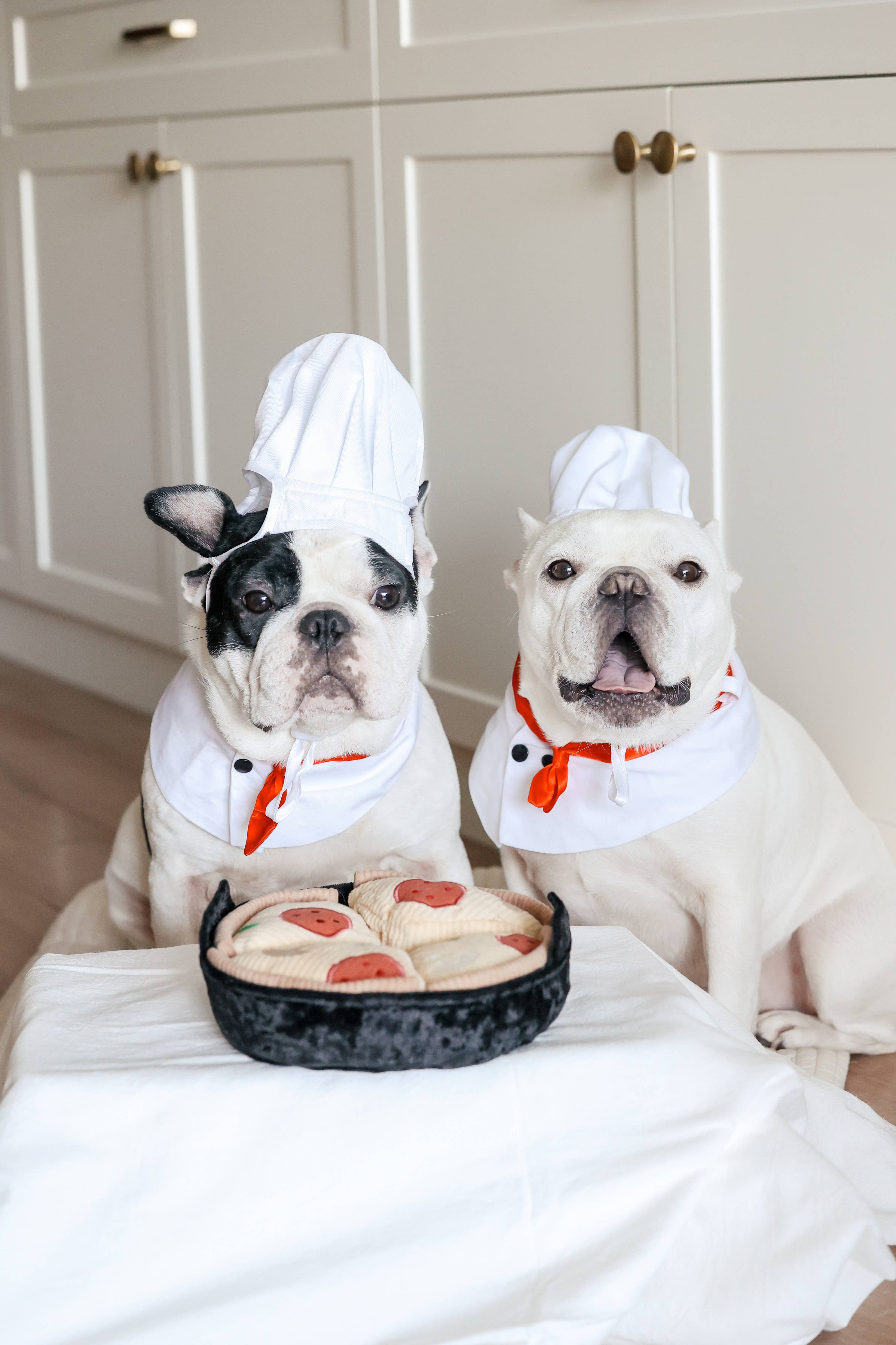 Deep Dish Pizza Schnüffelspielzeug - Lambwolf Collective