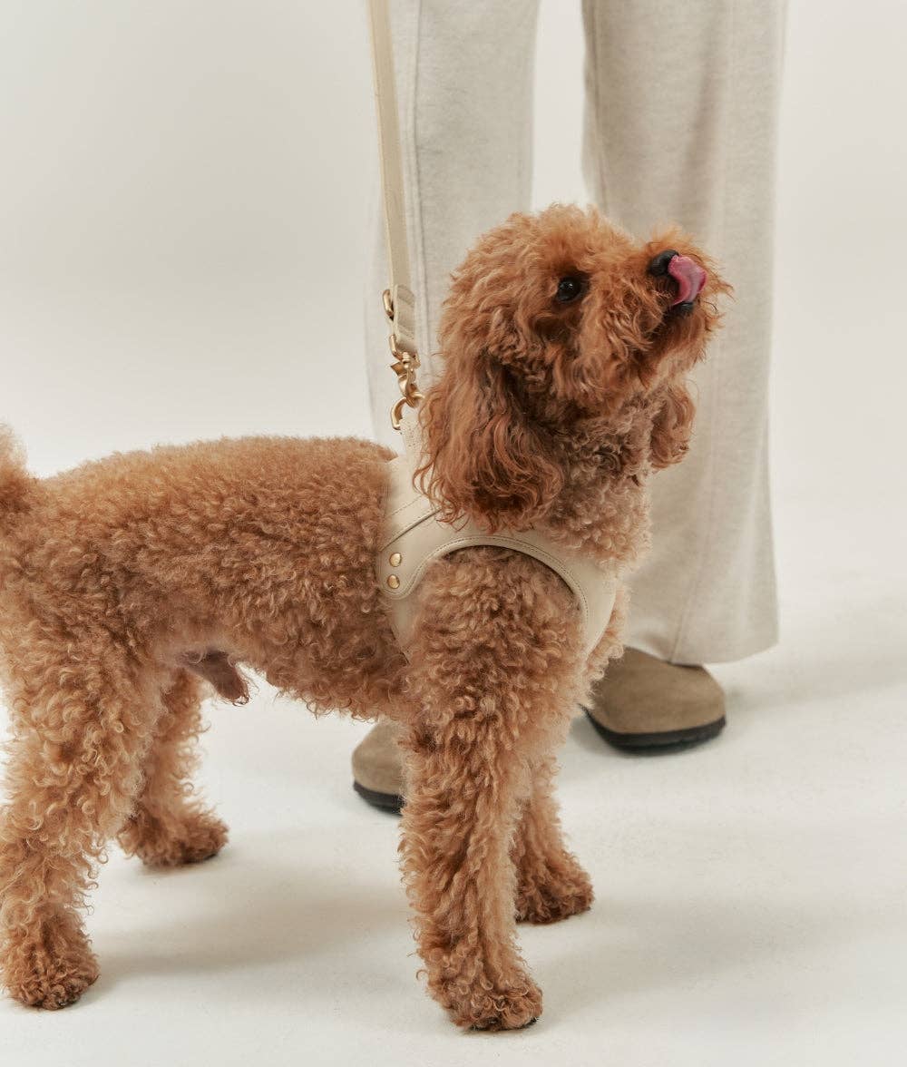 Veganes Leder-Geschirr Beige, Jala