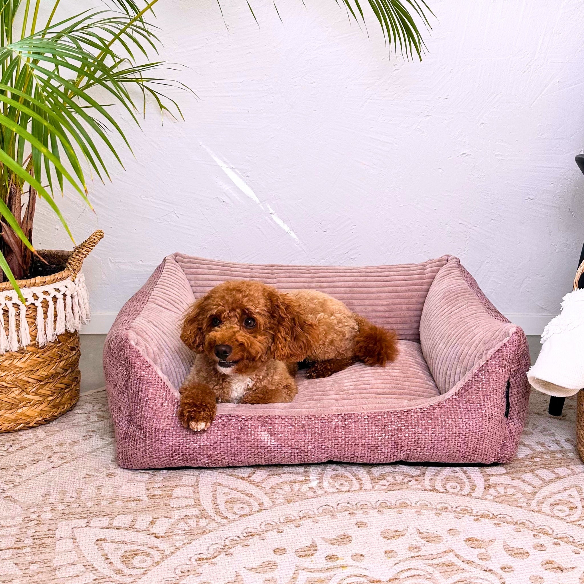 Orthopädisches Hundebett Miami – Traumhafter Komfort & stylisches Design (Altrosé)