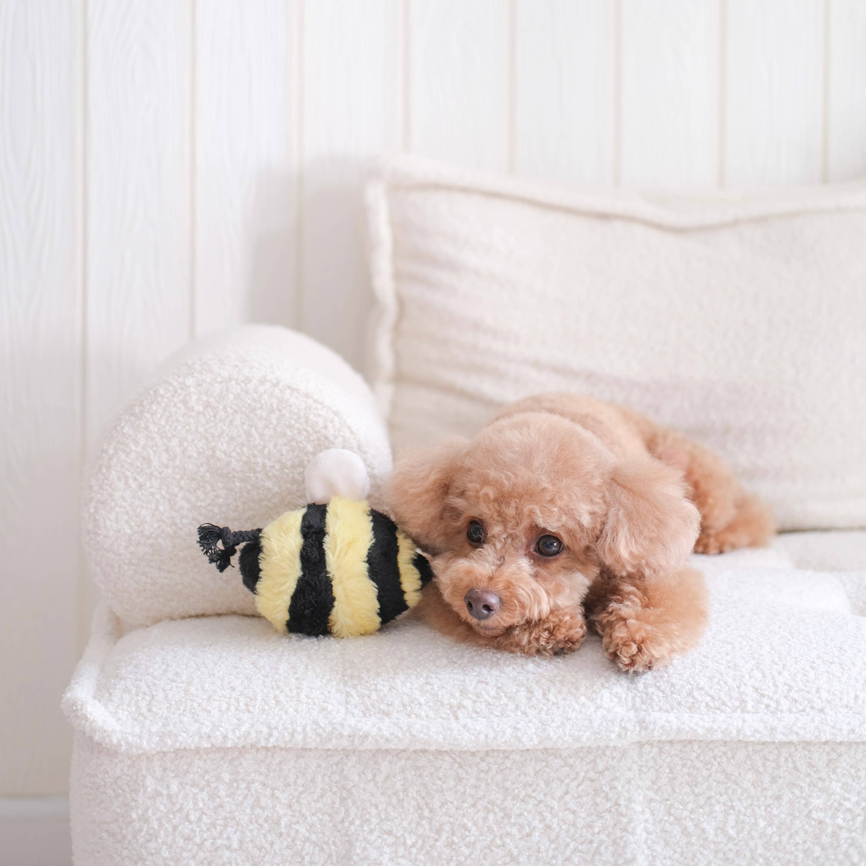 Bee Pop Schnüffelspielzeug - Lambwolf Collective