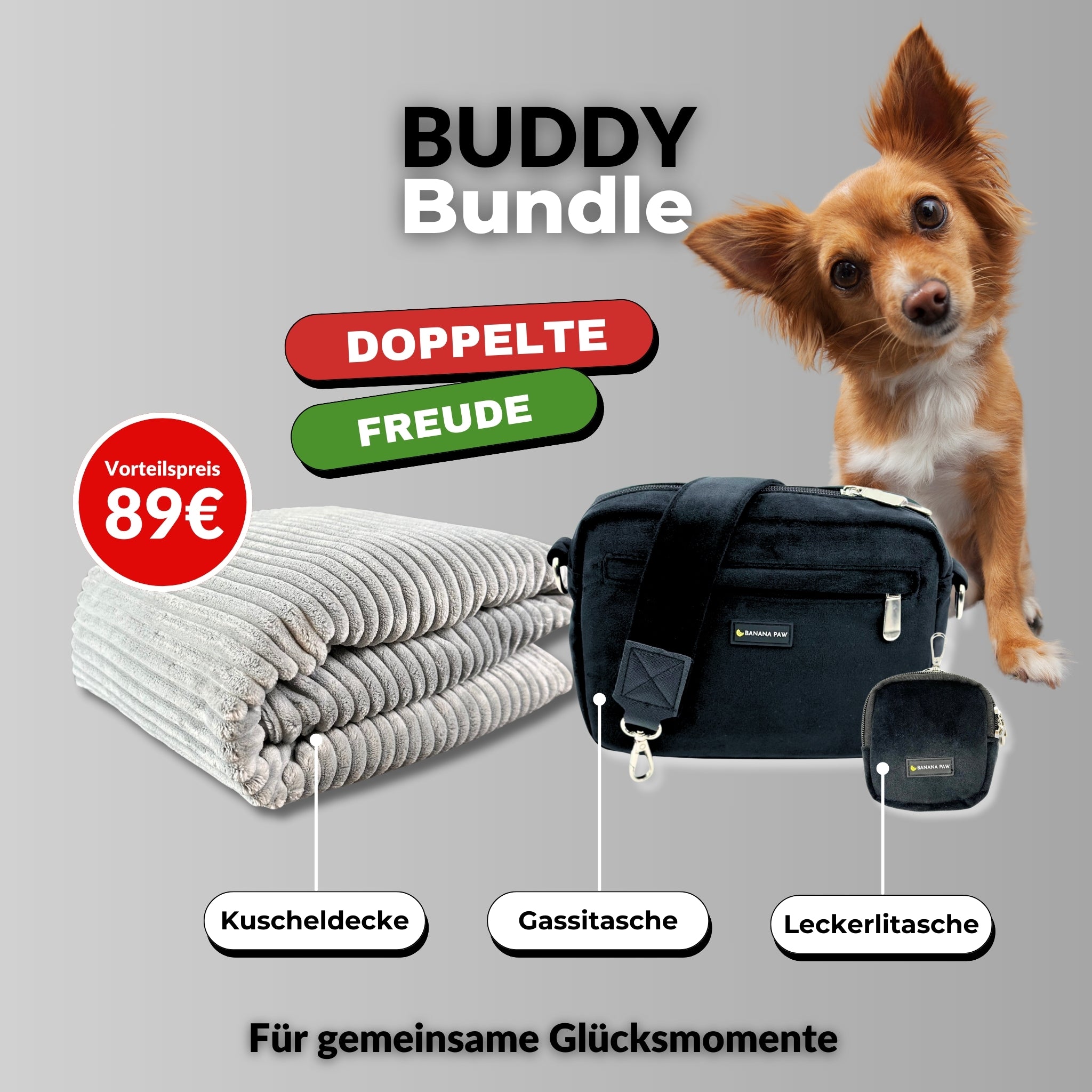 Taschen-Set plus Decke