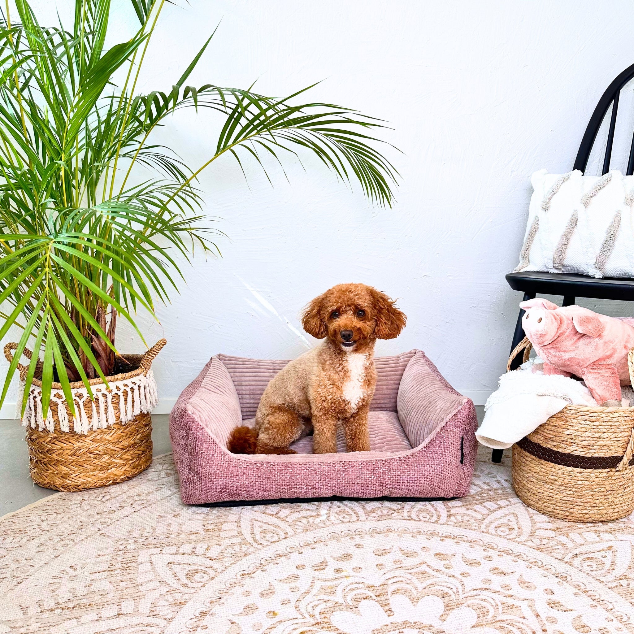 Orthopädisches Hundebett Miami – Traumhafter Komfort & stylisches Design (Altrosé)