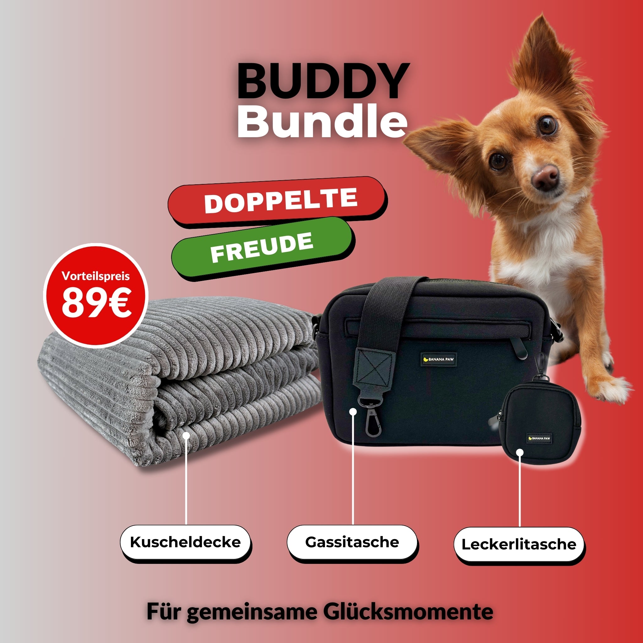 Taschen-Set plus Decke