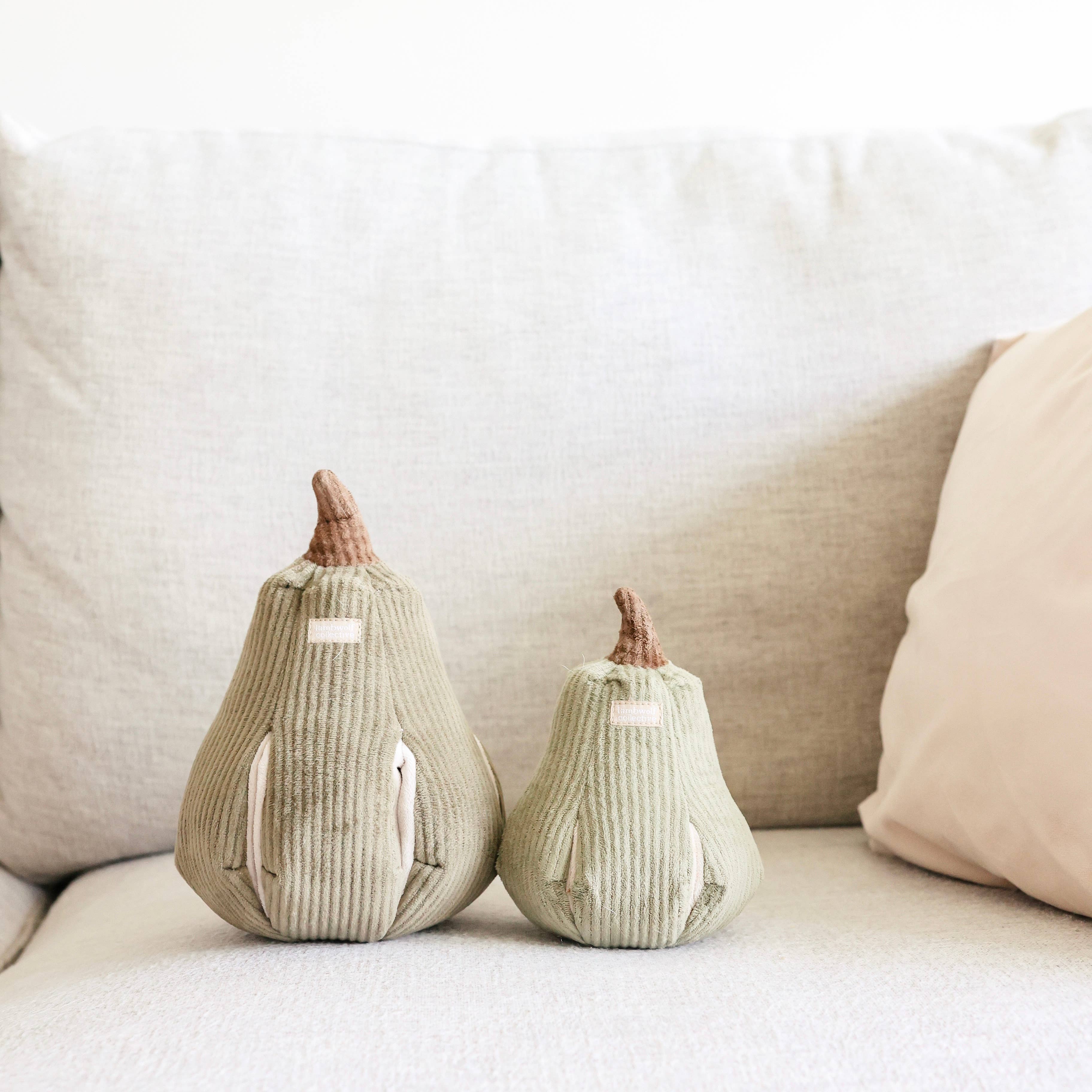 Kürbis Schnüffelspielzeug