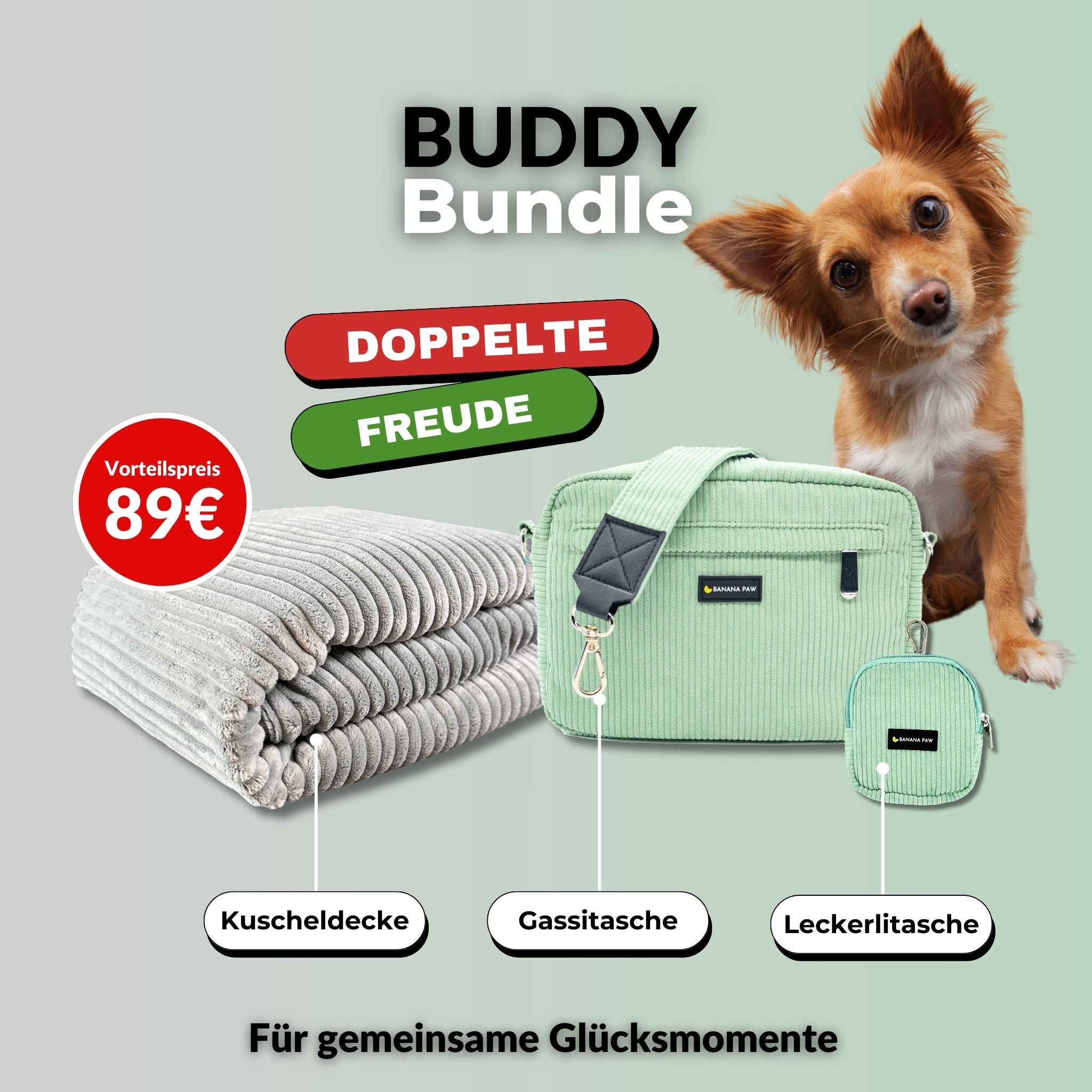Taschen-Set plus Decke