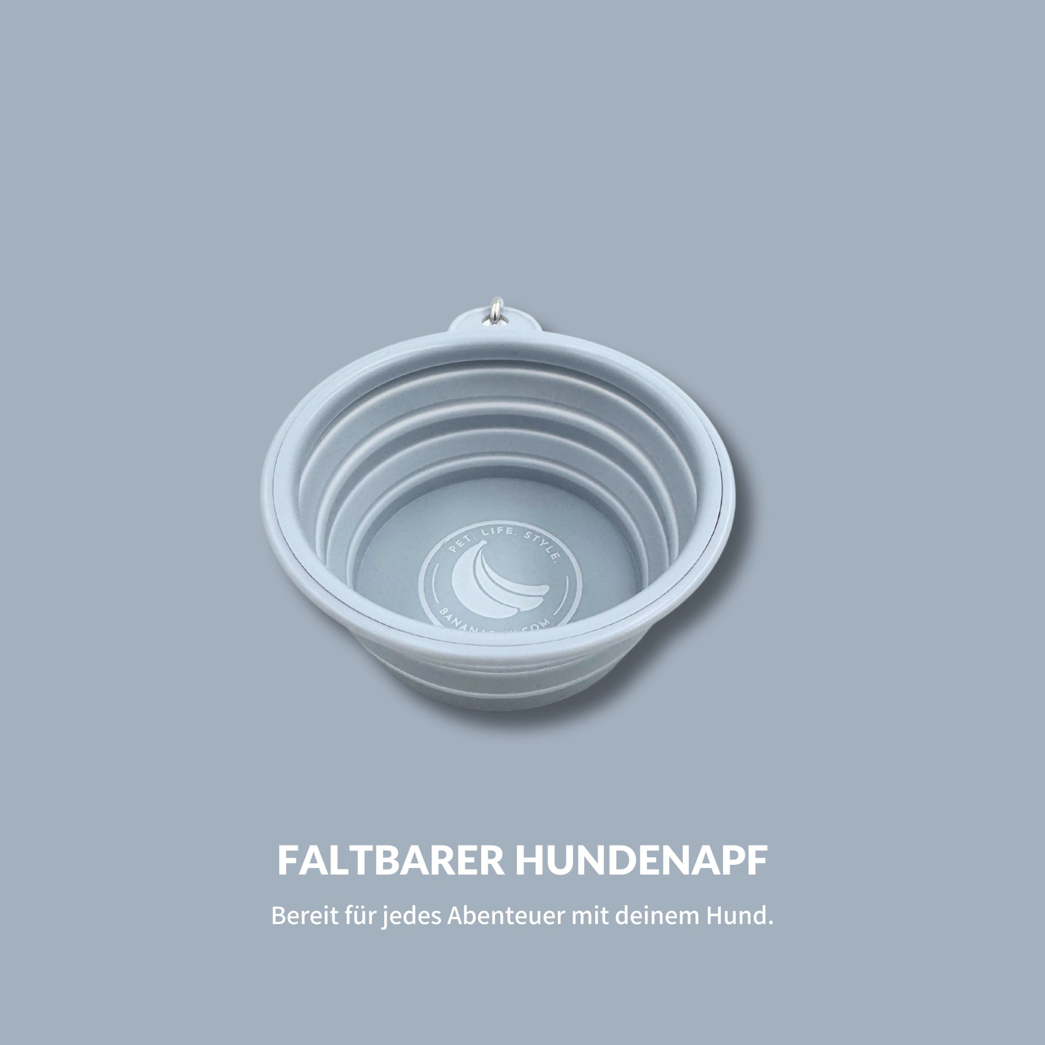 🎁 Faltbarer Hundenapf (100% off)