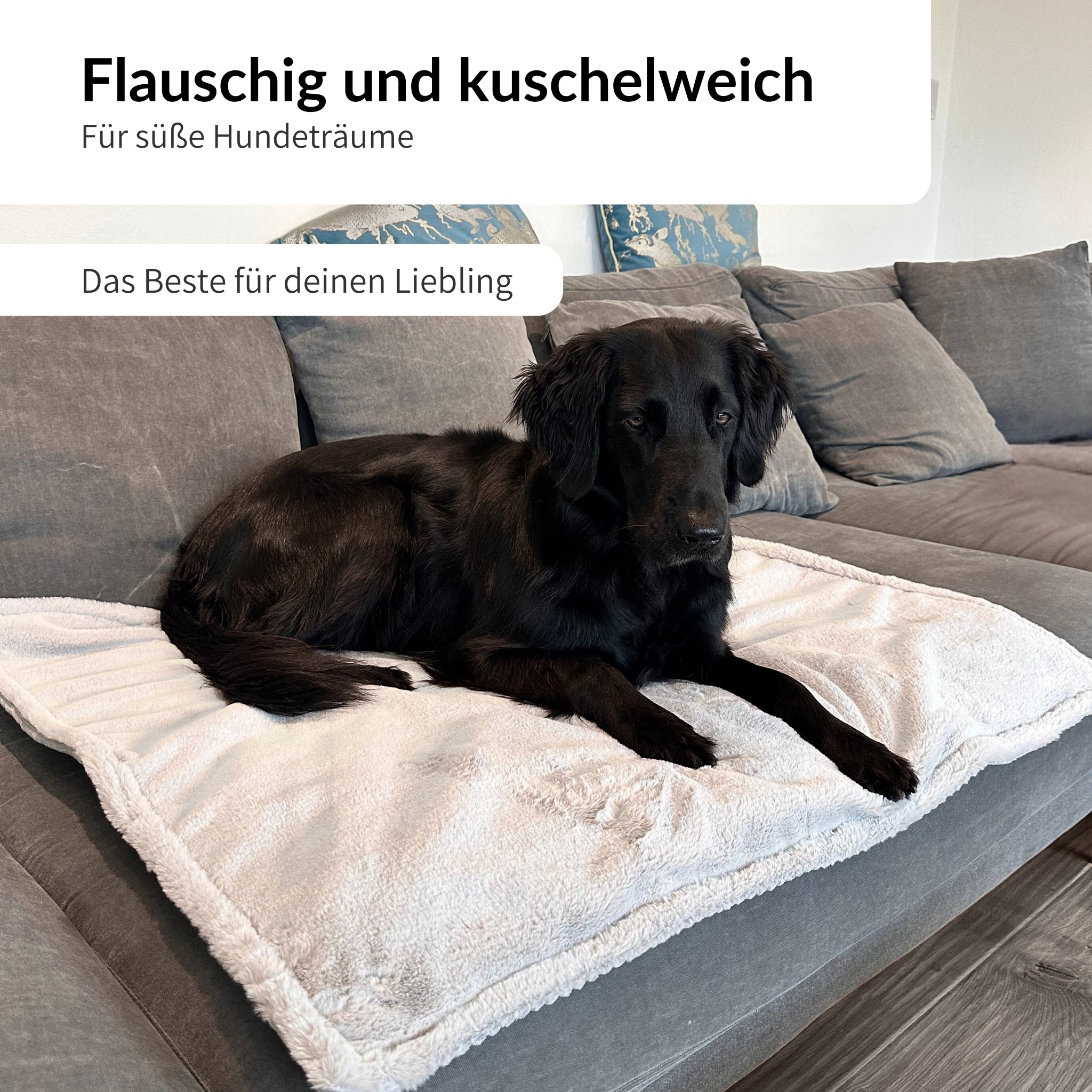 Super Cosy Bundle - Teddy - Alles für entspannte Spaziergänge & kuschelige Auszeiten